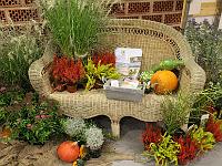 IMG 4065