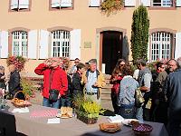 IMG 4245